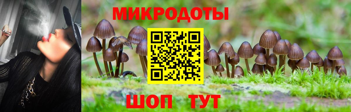 Галлюциногенные грибы GOLDEN TEACHER Сосновоборск